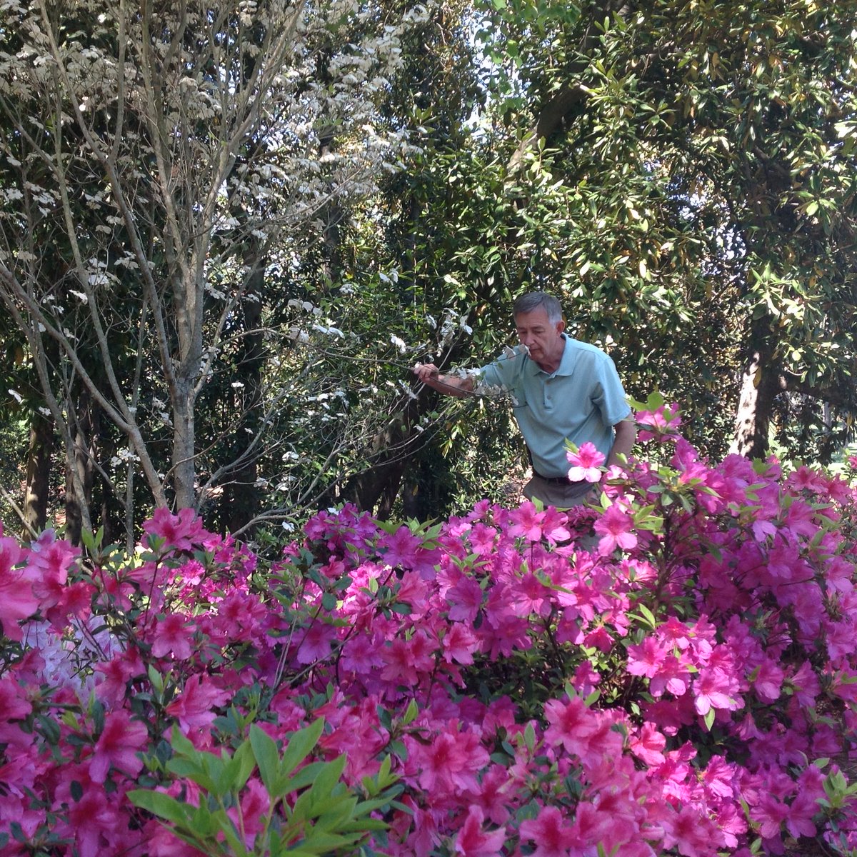 It’s coming! Nearly time to smell those Azaleas 🌺 Anyone else looking forward to @TheMasters ? #kenonthecouse