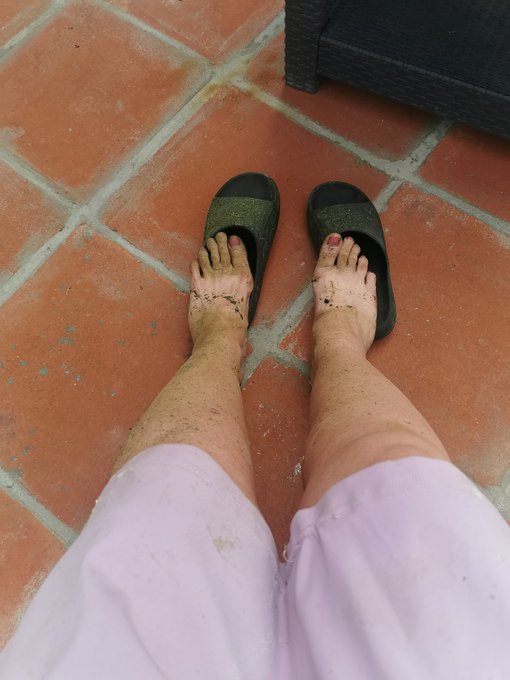 Who likes green feet 🤣 https://t.co/BgYJnmWRqt