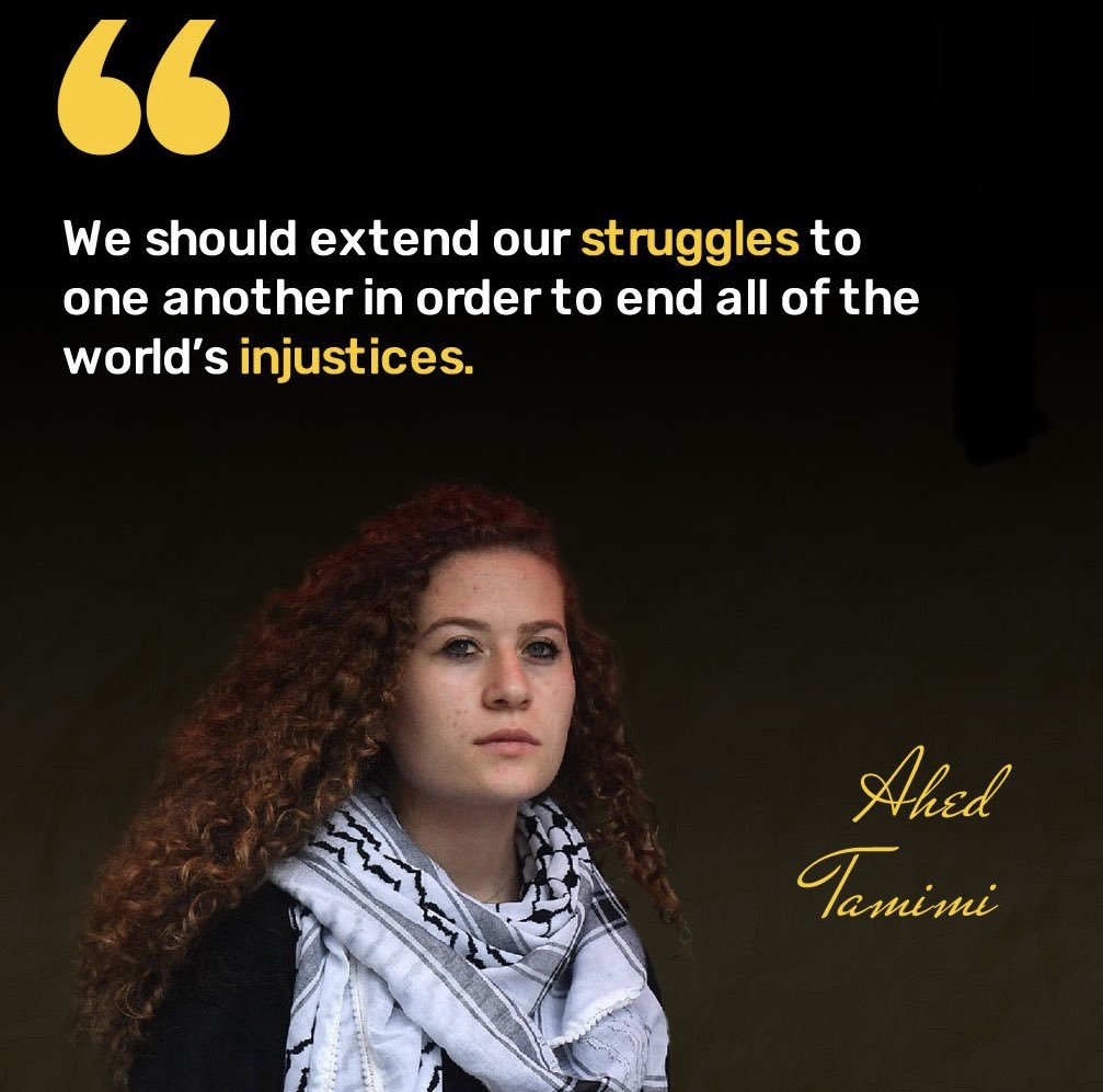 Jamie A 🕊️ tweet media