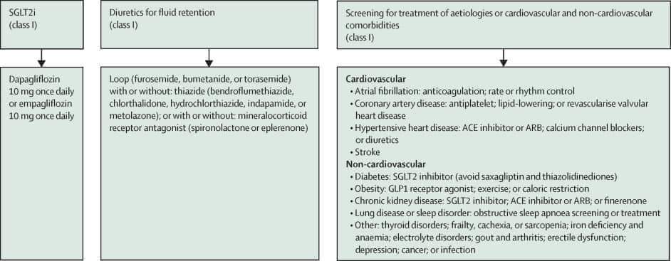 🔴 Heart failure with preserved ejection fraction: #2024Review @TheLancet sciencedirect.com/science/articl… #medicine #medtwitter #medical #CardioEd #cardiovascular #CardioTwitter #cardiology #MedEd #Review #MedTwitter #NephX