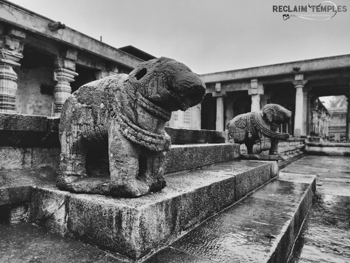 The barbarians succeeded in wounding our civilisation, but failed to destroy it completely.

We should heal these wounds, and ensure that this doesn't happen again.

Pic: Mutilated sculptures at Belur Chennakeshava temple, Karnataka.

#ReclaimTemples