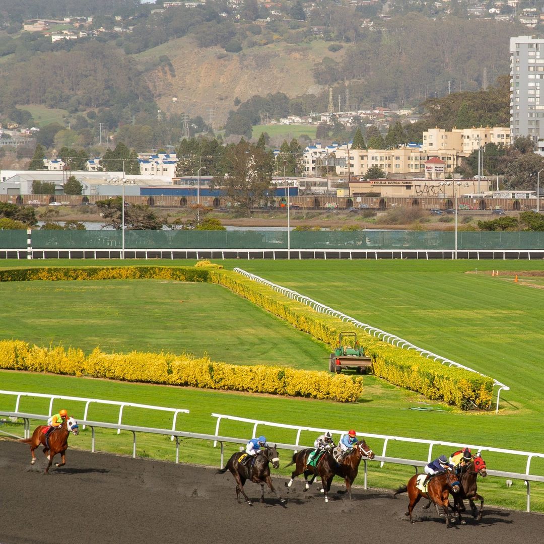 Views from the top. Take in the races from the Turf Club. Make a reservation at bit.ly/GGFTurfClub