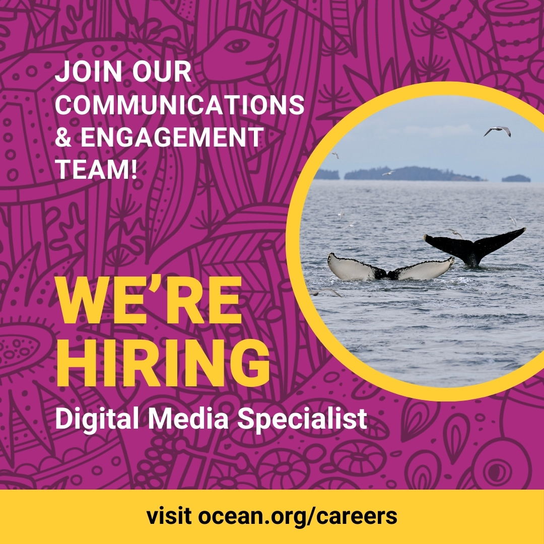 Are you passionate about the ocean? 🐋 We're #hiring a #DigitalMedia Specialist, who will play a crucial role in developing and executing our strategic social media plan, drive awareness, engagement, and support our mission. Learn more bit.ly/3vyiAnZ