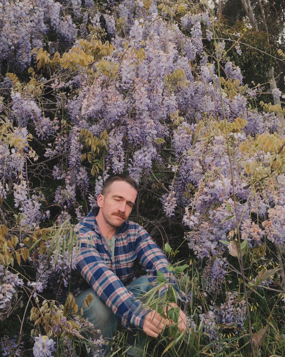 Boy in wisteria