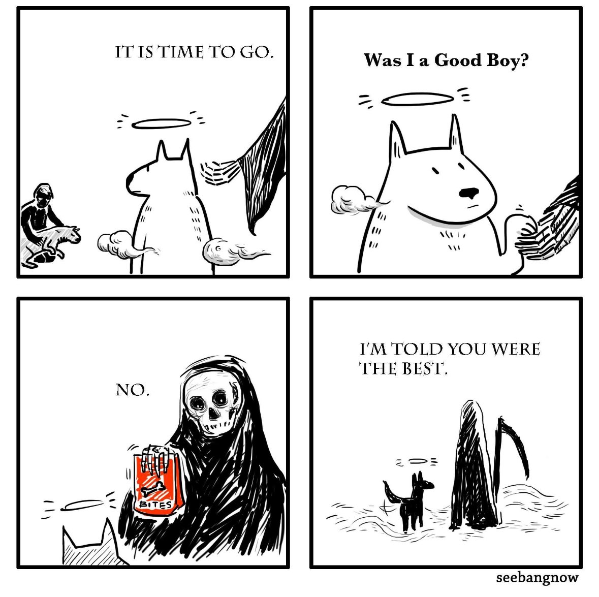 BU_Petey's tweet photo. This always brings a tear to my eye, and couldn’t be more true about our beloved @ButlerBlue3
#RIPTrip https://t.co/4pcC7GBzZs