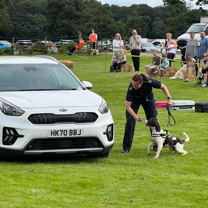 Carlton K9 is back! We are proud to be an ongoing supporter for @The_NFRSA 🐾 📅 Saturday 1st June & Sunday 2nd June ⏰ 10am - 4pm 🎟️ loom.ly/rz5gLRY #carltontowers #yorkshire #dogs #dogshow #TheNFRSA