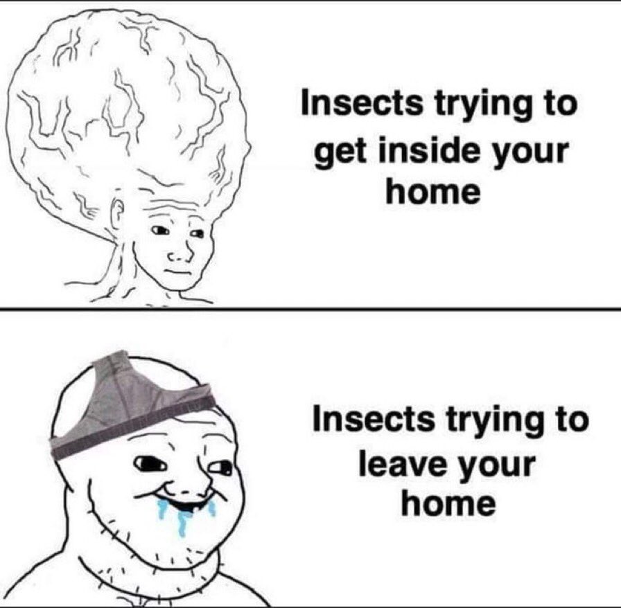 ShitpostGate's tweet photo. https://t.co/0d58oVu86X