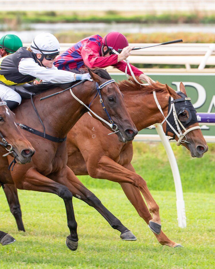 Michael Lane Racing tweet media