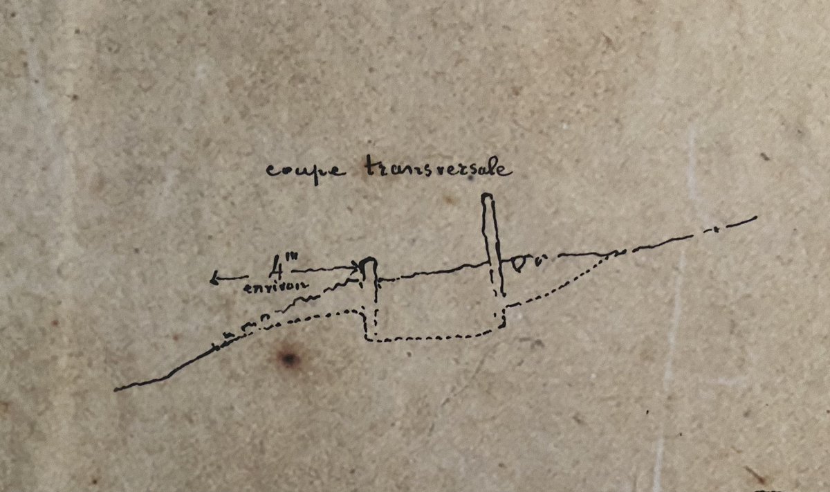 Luis Paredes tweet media