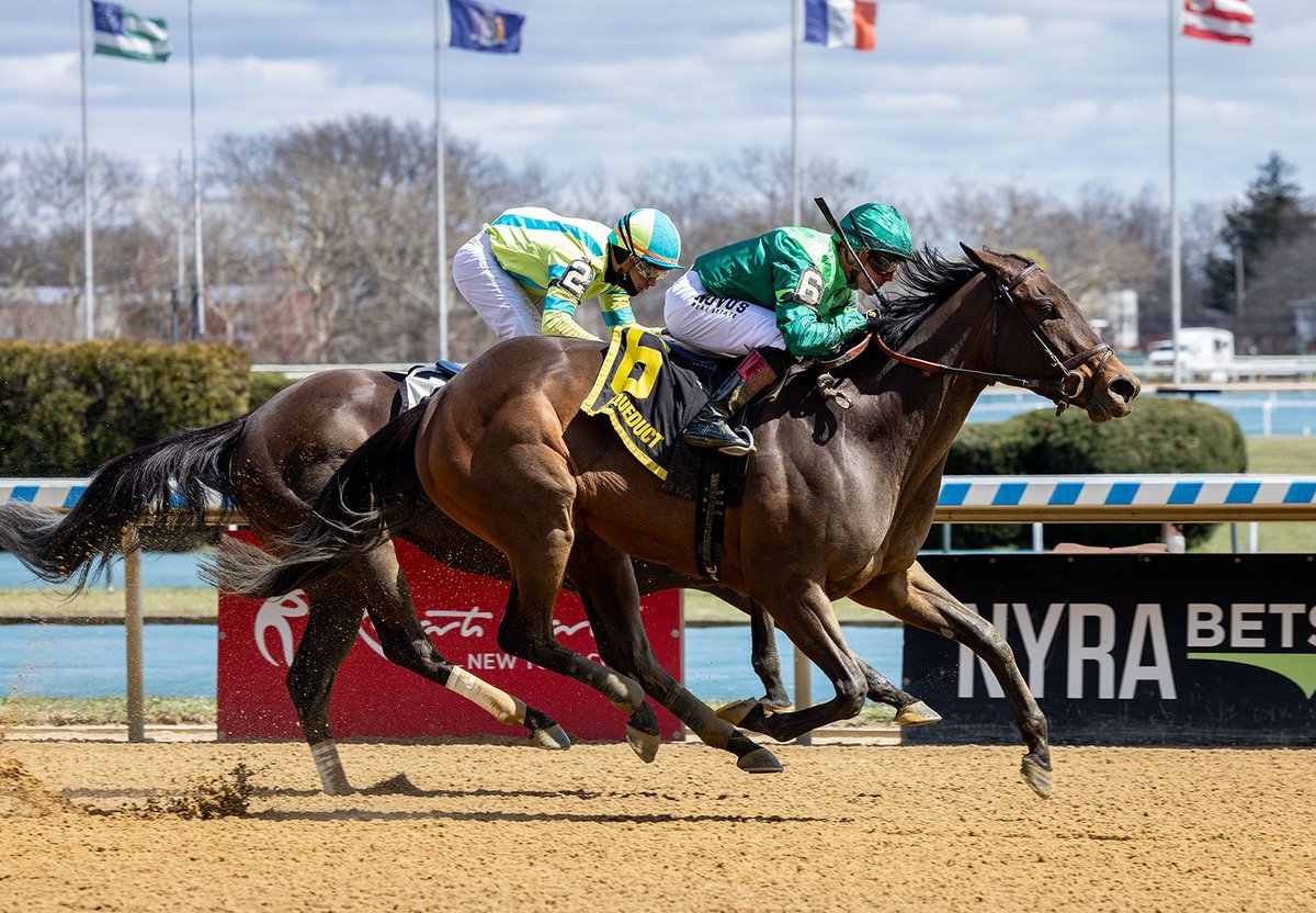 Shidabhuti Returns A Winner in G3 Distaff. Peter Brant’s Shidabhuti (4f Practical Joke x A.P. Candy, by Candy Ride) won a stakes for the second... bit.ly/4d0iSc7