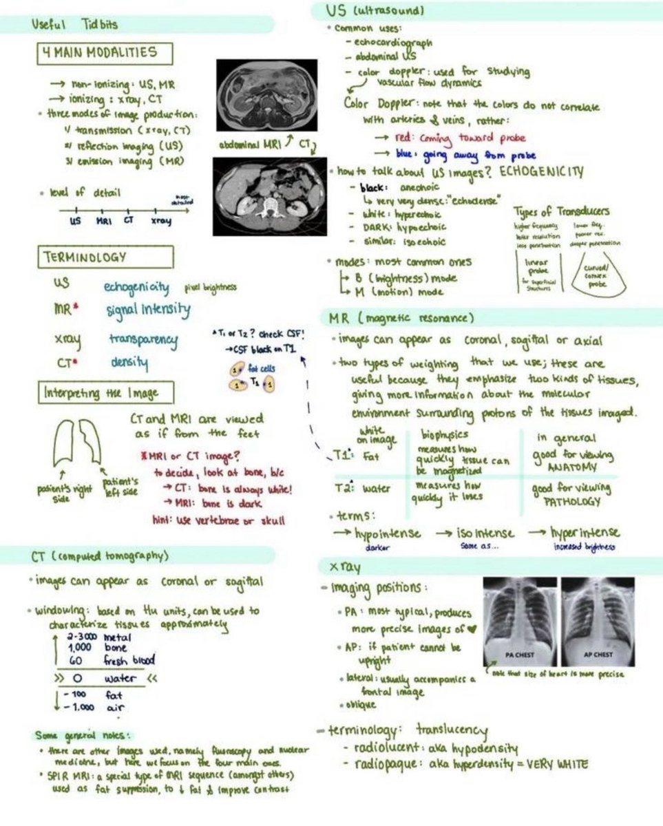 Basics of radiology