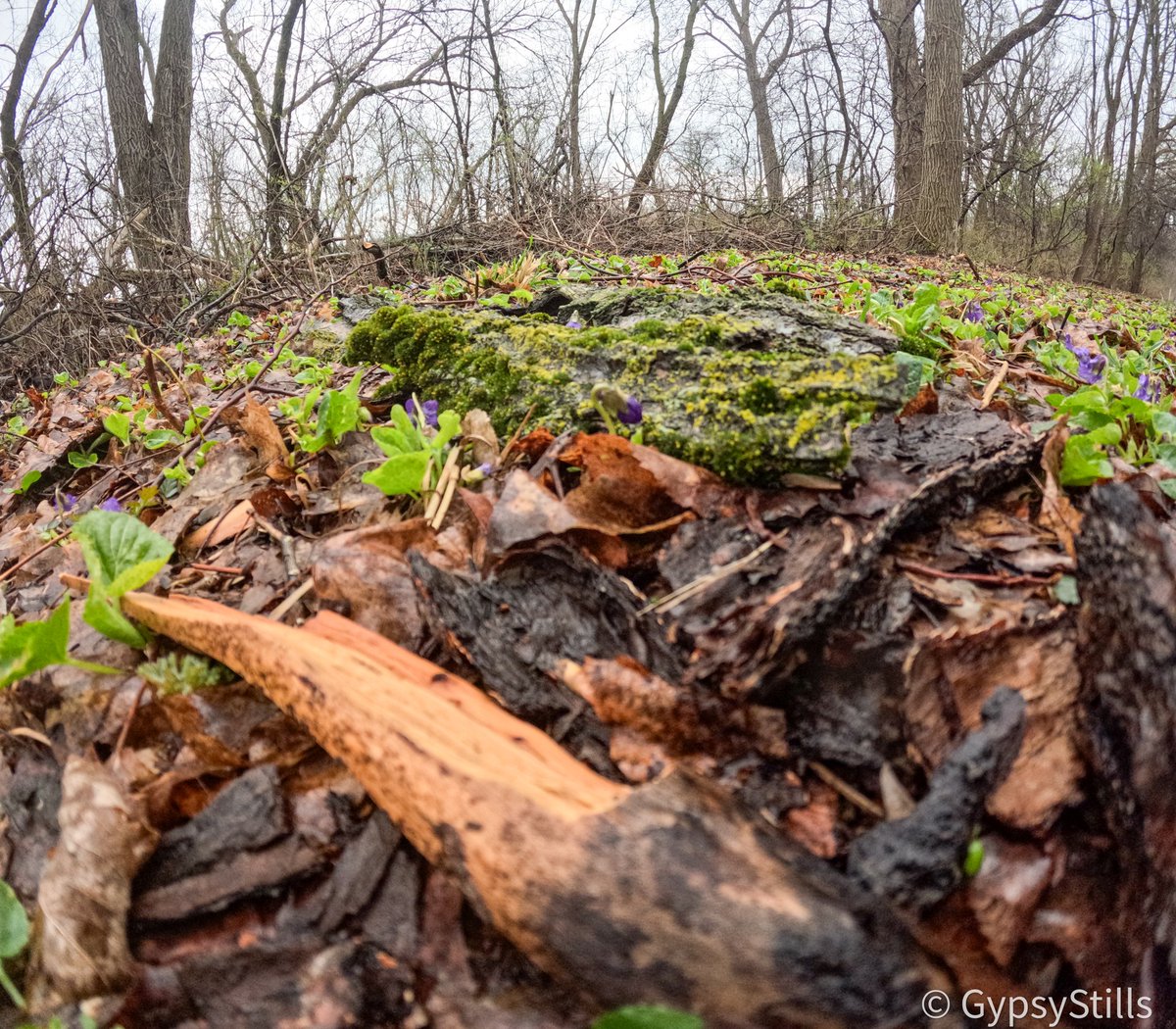 GypsyStills's tweet photo. Portage Creek Bicentennial Park on a semi rainy day. 
#puremichigan https://t.co/rckWDrYzOS