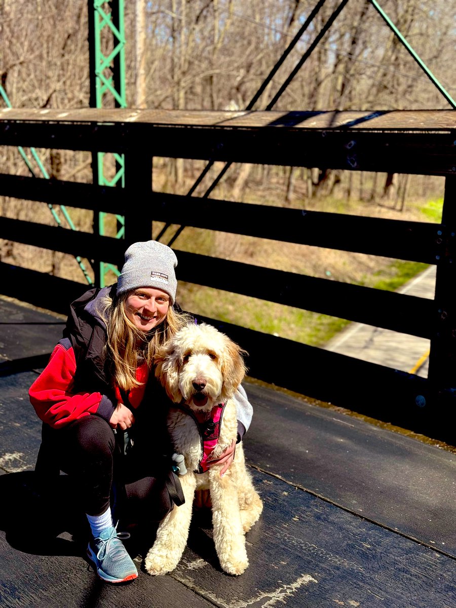 Dana Zezzo tweet media