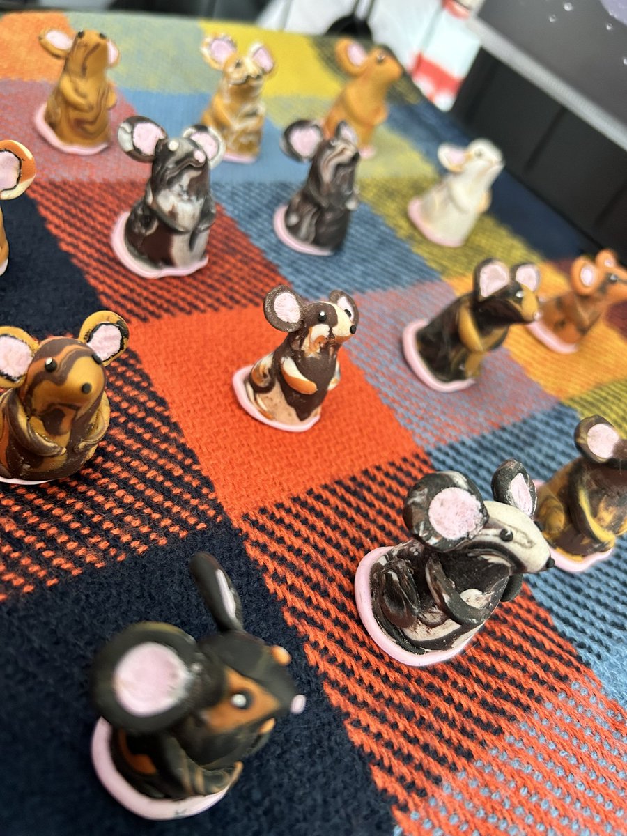 ☀️ Ashling ☀️ tweet media