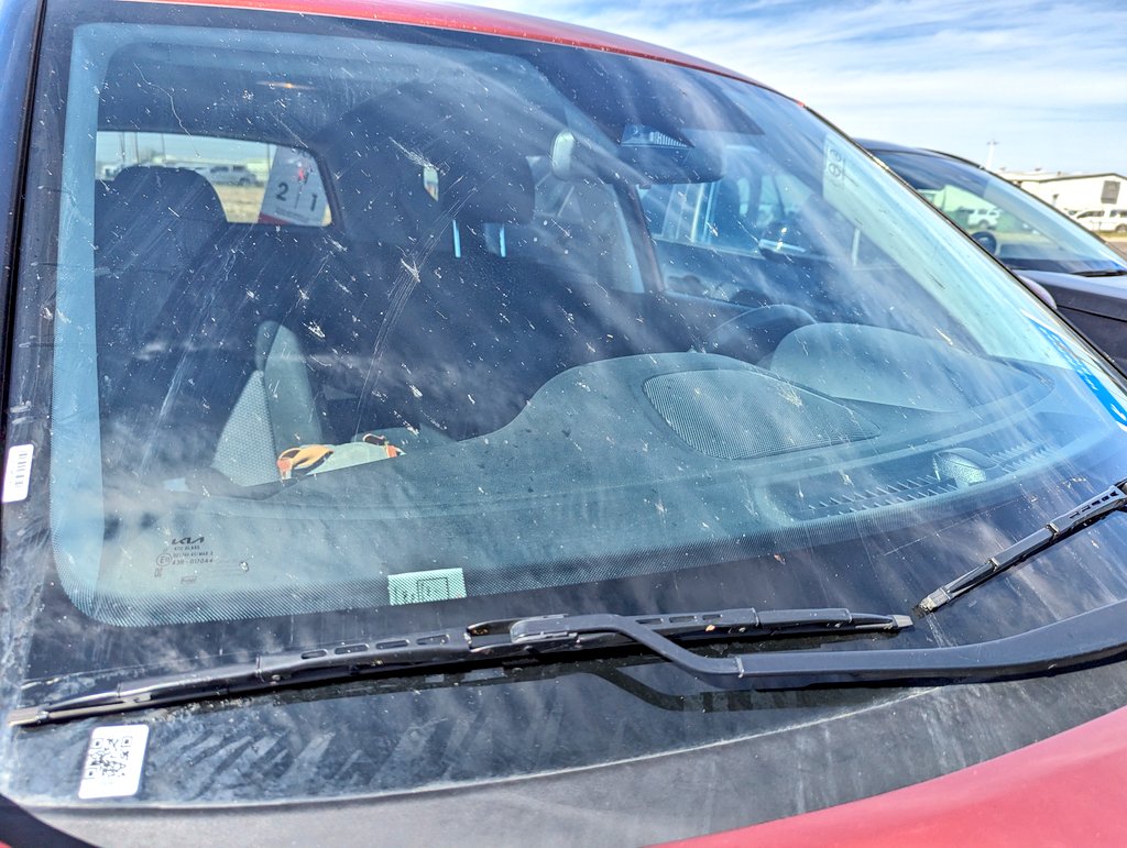 This is the most bugs I've seen in my car in years! Still nothing like it should be but better than the clean window I typically have after a road trip.