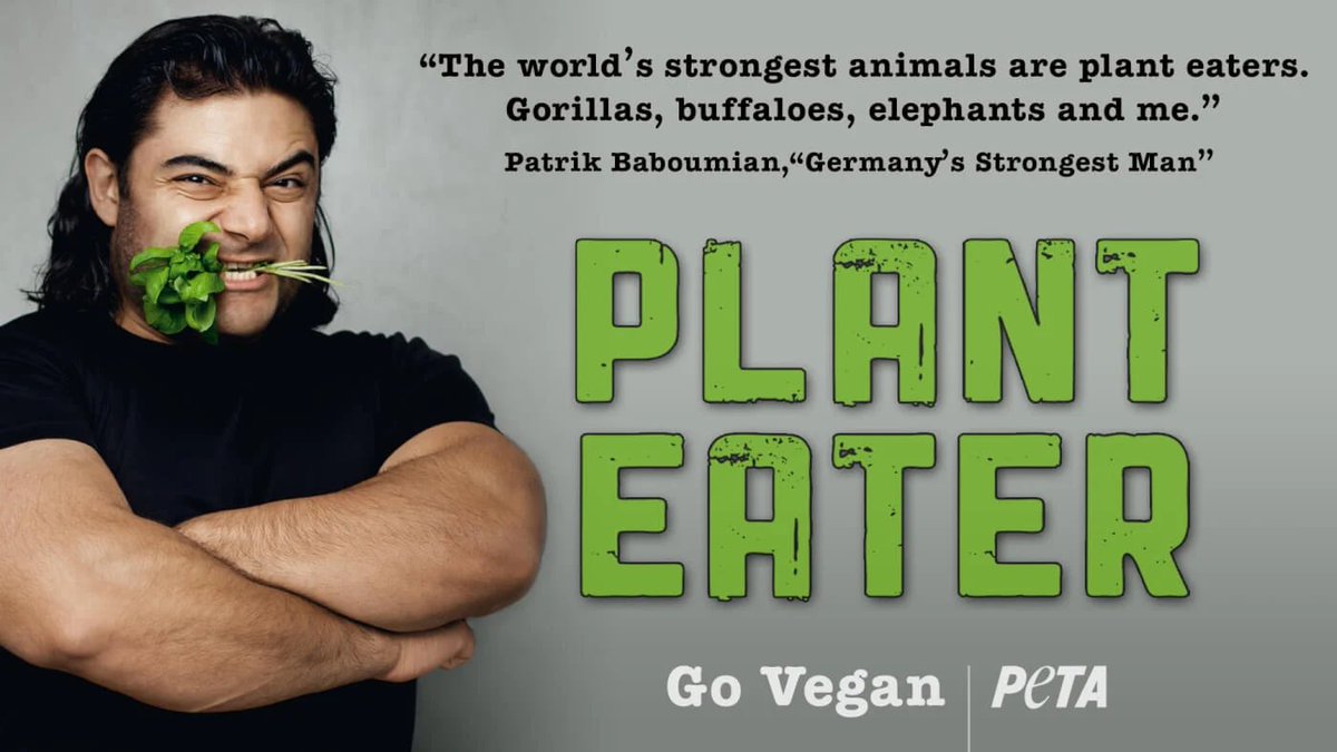 @lifeveganized Patrik Baboumian 💚#VeganForTheAnimals