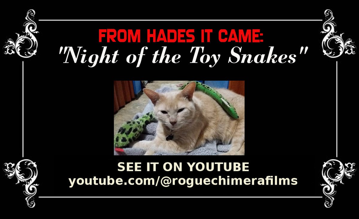 FROM HADES IT CAME: Night of the Toy Snakes Available for free on YouTube youtu.be/Pps2bGipEOM #rogue #chimera #films #film #movie #movies #horrormovie #horrrormovies #horrorgenre #independentfilm #independenthorrror #screenplay #screenwriter #writer #filmmaker #director…