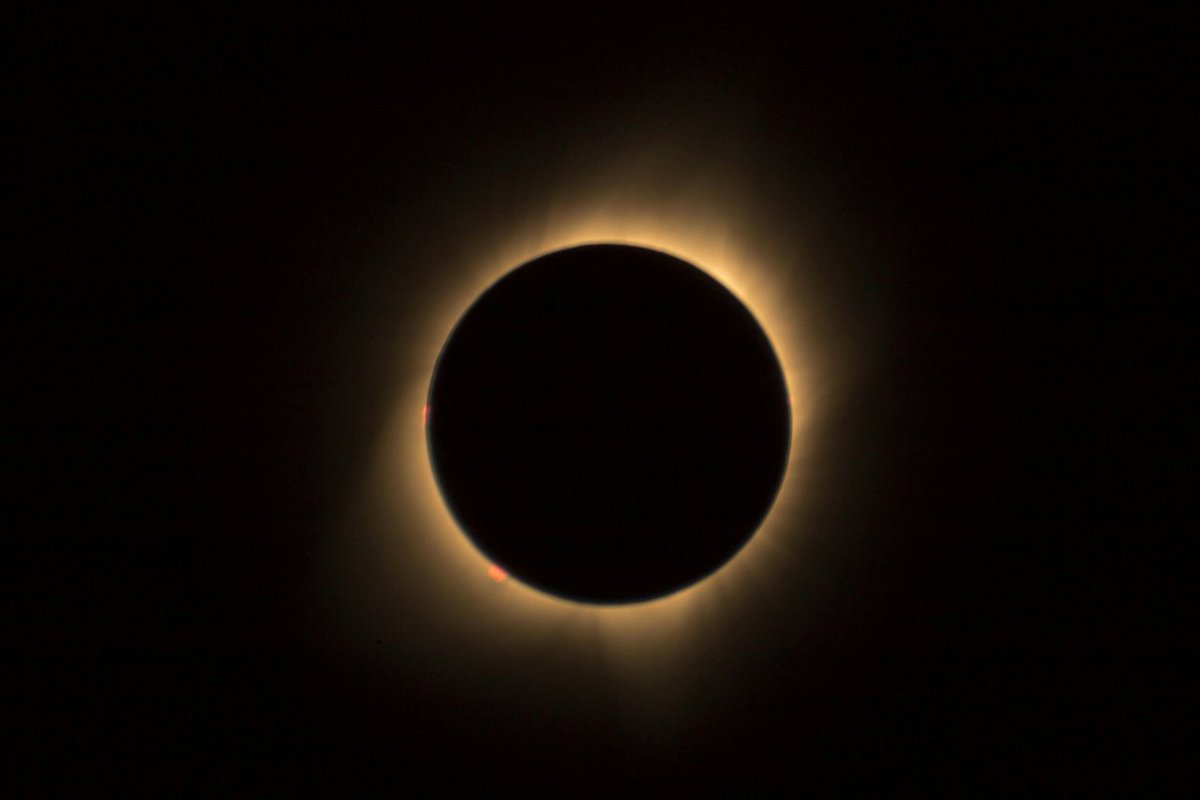 "A total solar eclipse is a rare and grand spectacle of nature. By following simple precautions, you can experience it safely." Here are some tips to keep you and your family safe!

in.gov/dhs/solar-ecli…

#giftededucation #gifteded #giftedparenting #highability