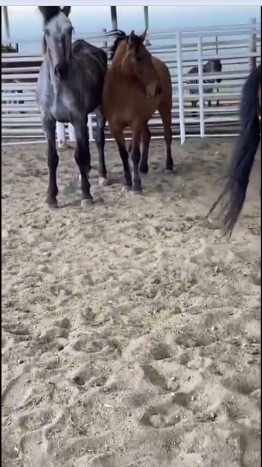 Sally Madigan tweet media