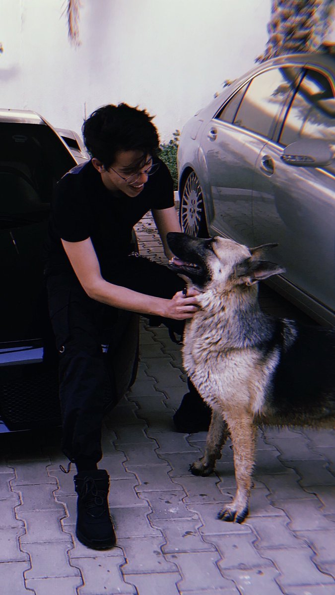 ملوك tweet media