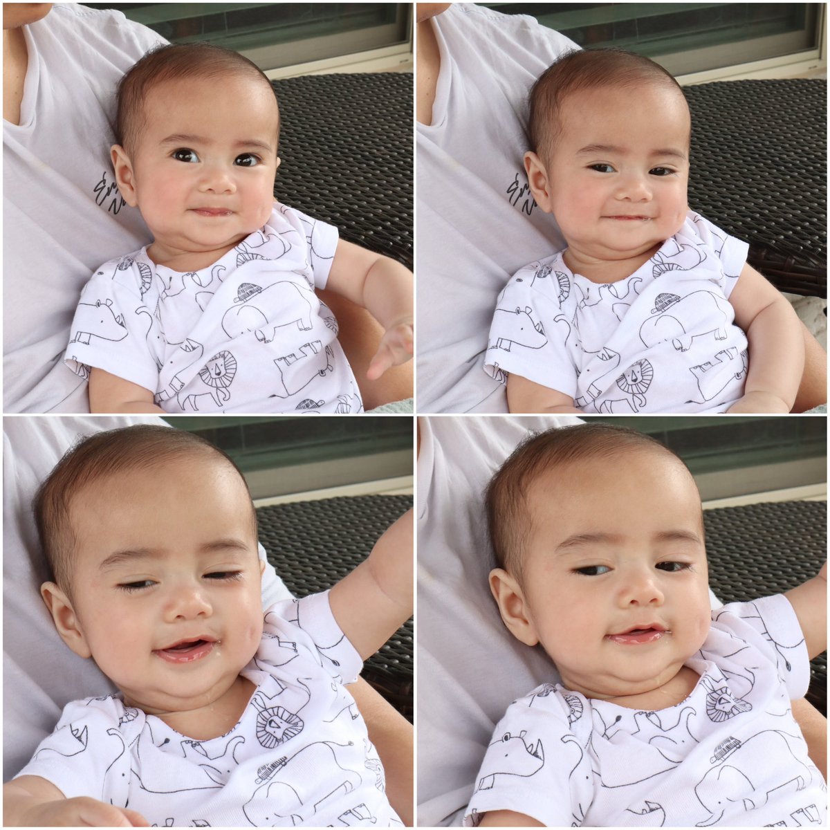 crltxa's tweet photo. my sweet boy 🩵 https://t.co/hL6uLjzH5F