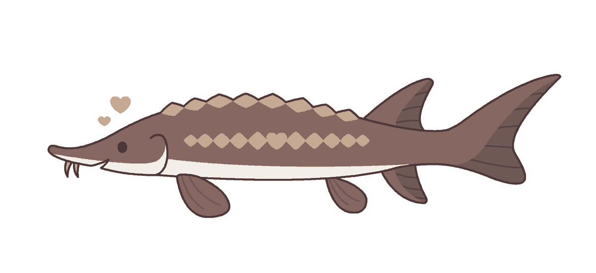 🤎 sturgeon 🤎