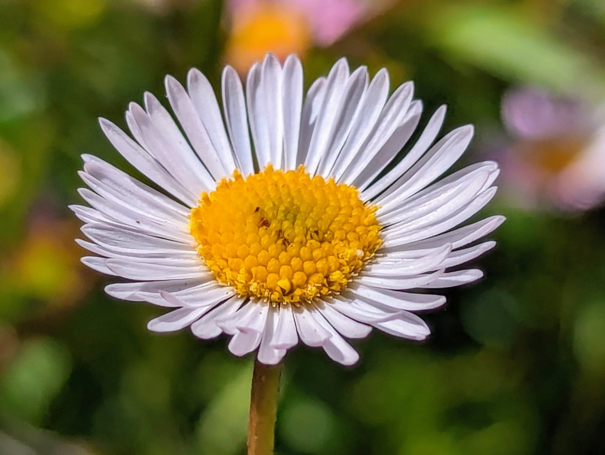 Van Riper tweet media