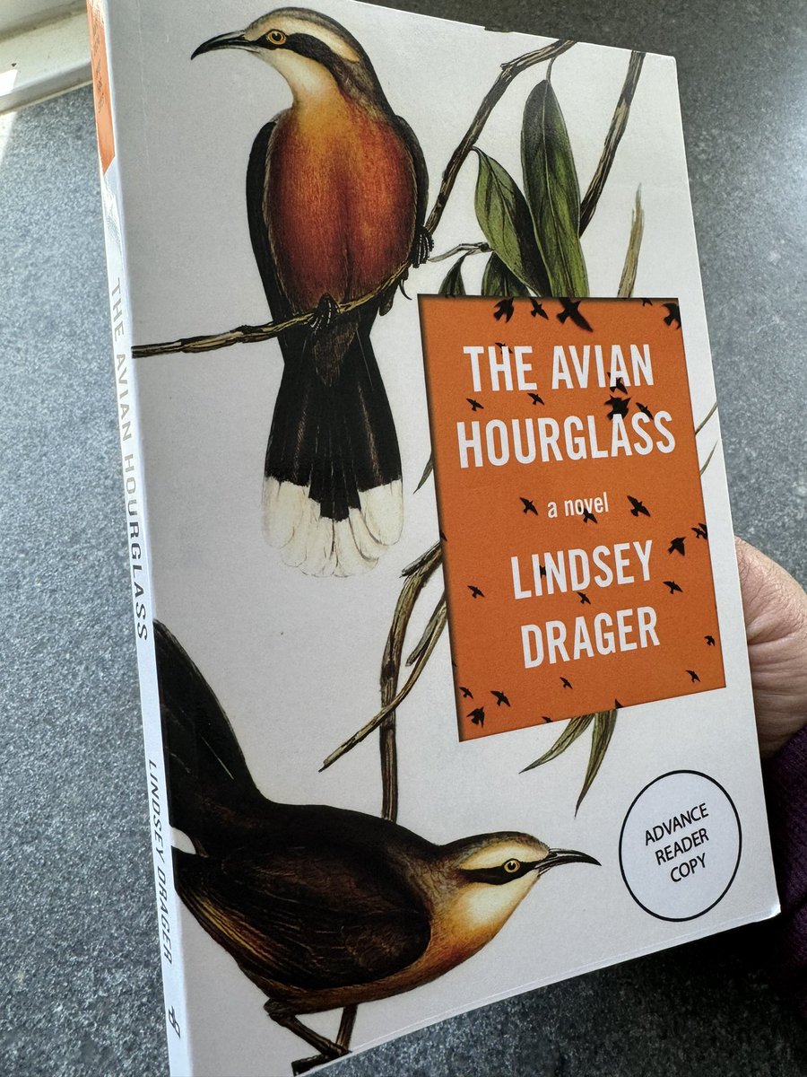 Some mighty exciting mail from @dzancbooks, today. If you don’t know the boggling, brilliant fiction of Lindsey Drager— get with it!