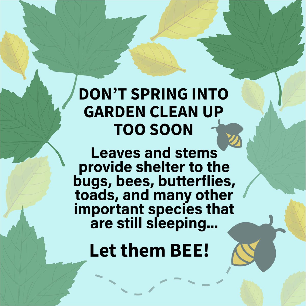 It's the time of year we are all getting excited to bee outside. But please remember to let your garden sleep in just a little bit longer. Once temperatures are consistently above 10°C or 50°F, you can go wild! #LetThemBee #Spring #Gardening #Pollinators