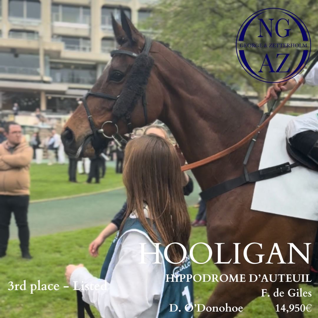 🌟 HOOLIGAN places 3rd in the listed handicap Prix Jean Granel at Auteuil 🌟 Hooligan ran a cracking race to finish 3rd under Felix de Giles in the Listed handicap 💥 Congratulations to his owners D. O’Donohoe, J. Cavanagh, S. Nelson & V. Robinson and his breeder T. Fleming 💫