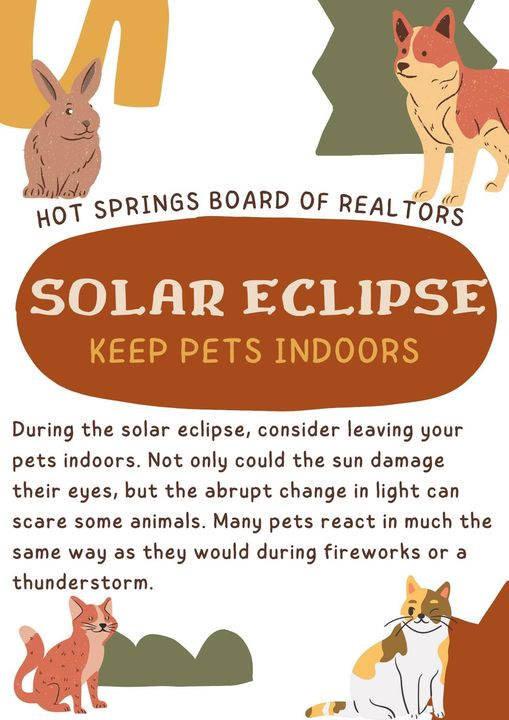 #PSA #SolarEclipse #SolarEclipse2024 #Caturday #pets #AnimalWelfare