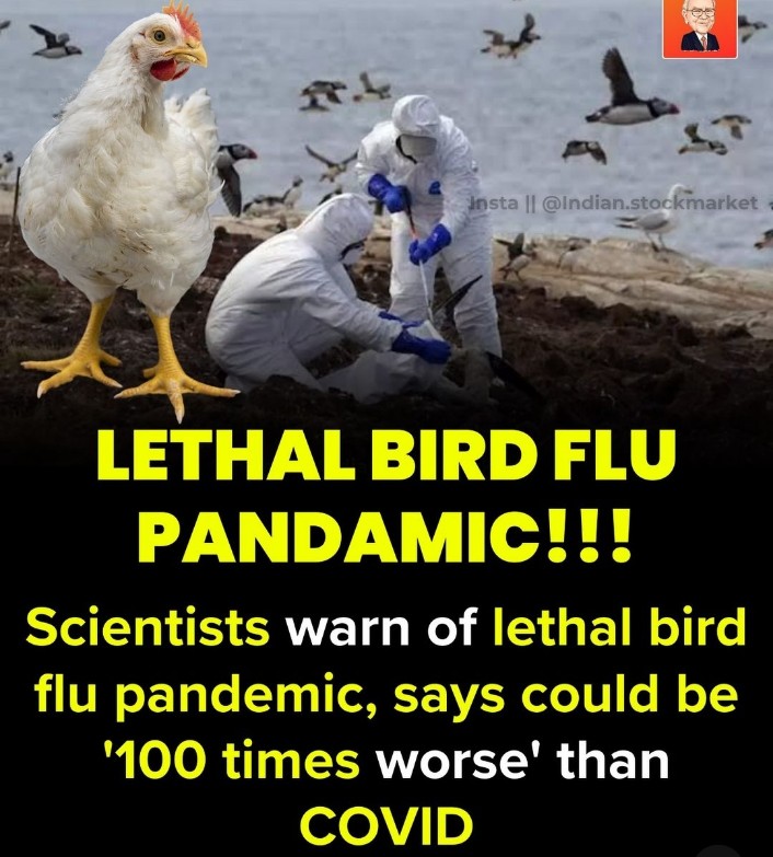 #StandAndDeliver #Beckysangels #ivantill #letsdance #lethal