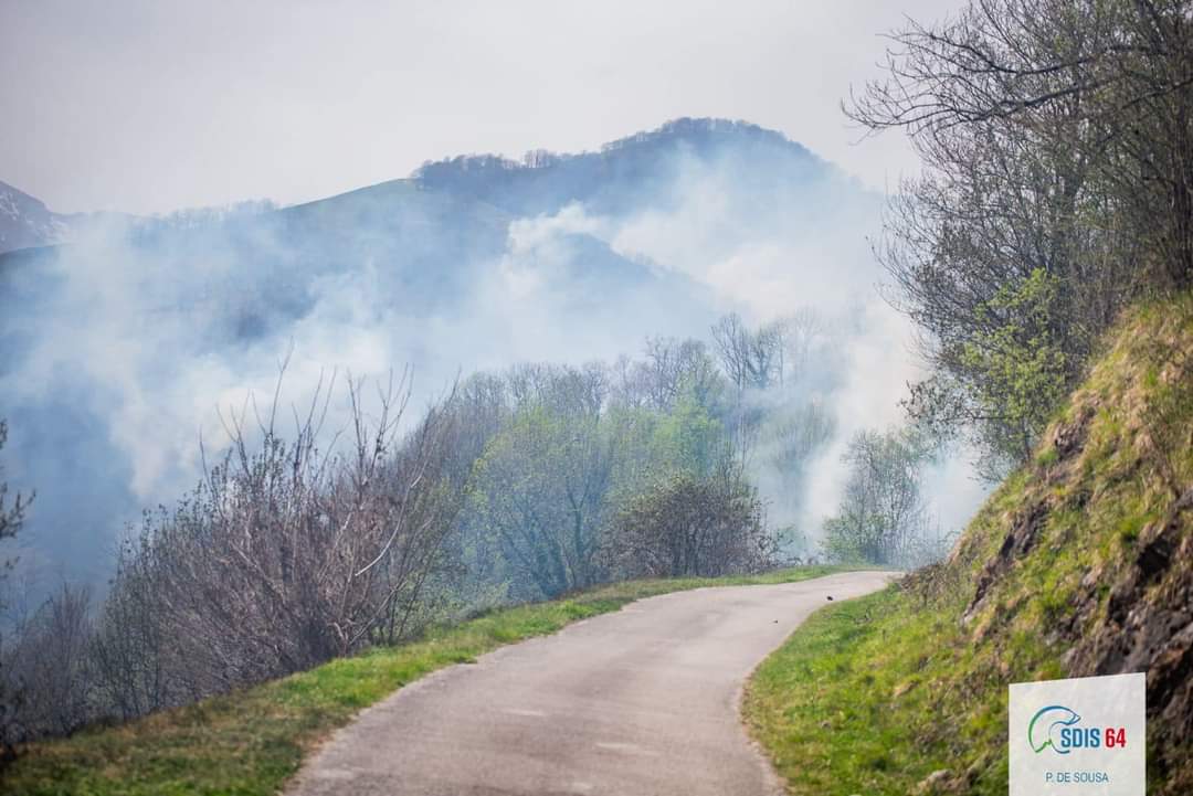 🔴 Point de situation à 20h : #FDF commune de #Larrau [64-#Pyrénées_Atlantiques] 

🌳 150 hectares de parcourus

🚒 81 sapeurs-pompiers sont mobilisés

🛩 Les turbulences empêchent l'intervention des moyens aériens

⛰️ La zone est difficile d'accès
_
#FeuxDeForêt #GIFF #PSFDF