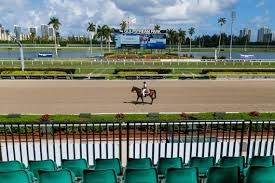 lotohipico's tweet photo. #Sabado #April06. 2024.
#GULFSTREAMPARK.🏇
@DerbyNoqueador
(+58 4248131900).
#Americanas.
#Hipismo.
5ta CARRERA👊.
1-10/3.
Agradezco un retweet. https://t.co/fwqwC8Lw28