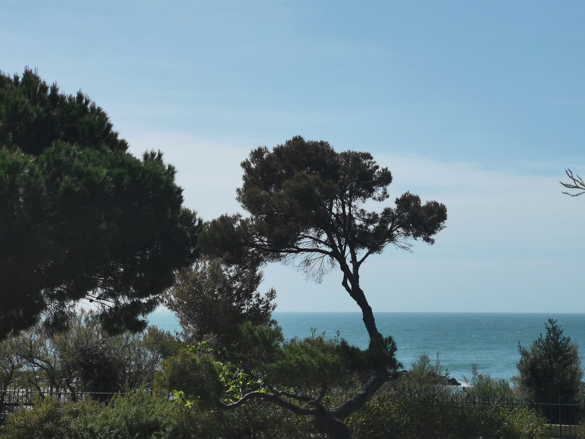 Very happy to have had the opportunity to present some of my work at the 26th annual meeting of the #exoendo club in Sète!
3 days packed with super interesting talks and discussions (also nice walks on the beach during the breaks)