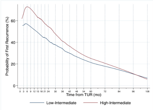 Defining follow-up strategies for patients with primary @Uroweb 2021 intermediate-risk non-muscle invasive #BladderCancer. Presentation by @RobertoContieri @HumanitasMilano. #EAU24 written coverage by @zklaassen_md @GACancerCenter > bit.ly/3TFVVC0