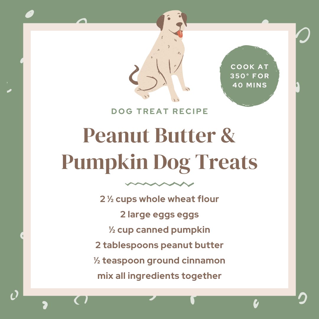 Barking good treats for your best friend! Check out this easy dog treat recipe for your dog to enjoy! 🐾🐕️🐶🦴🥣

#gnawtybites #gnawtypets #dogtreats #dogrecipes #baking #dogsupplements #welovedogs #furryfriends #homemade #dogsofinsta