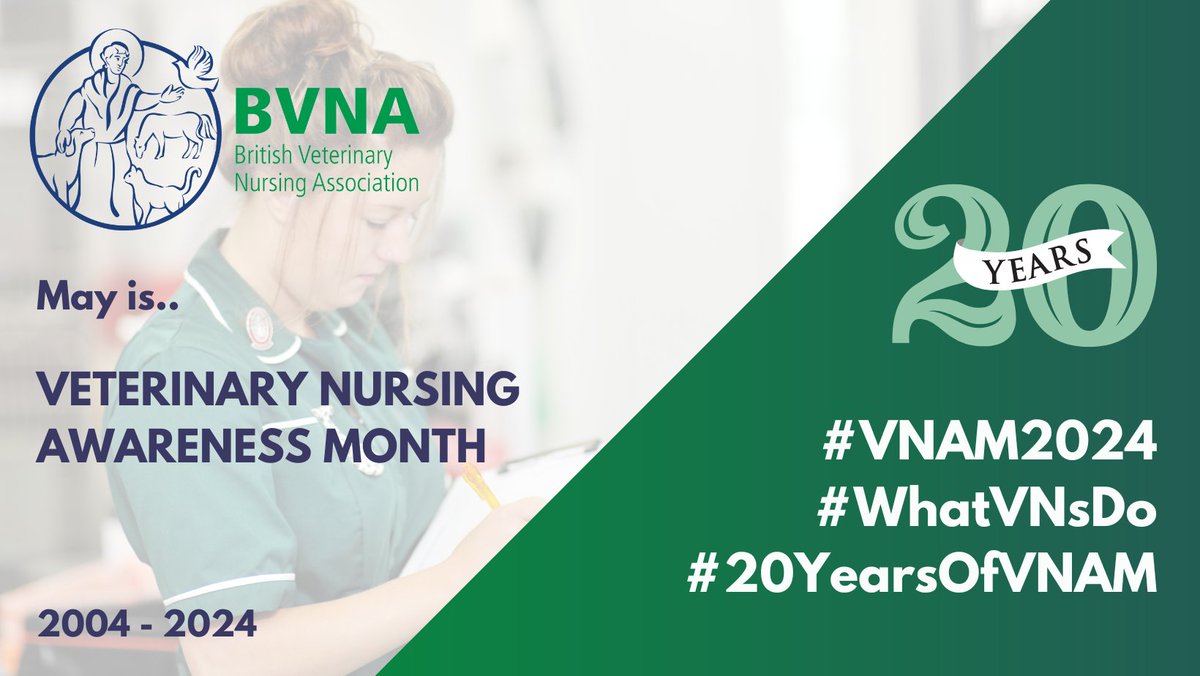 In 2024, BVNA is celebrating 20 years of campaigning during the month of May, to raise awareness of veterinary nursing. This year, we’re inviting you to get involved, with complete flexibility over how. Your #VNAM2024, your way! More info; bvna.org.uk/blog/your-vnam… #WhatVNsDo