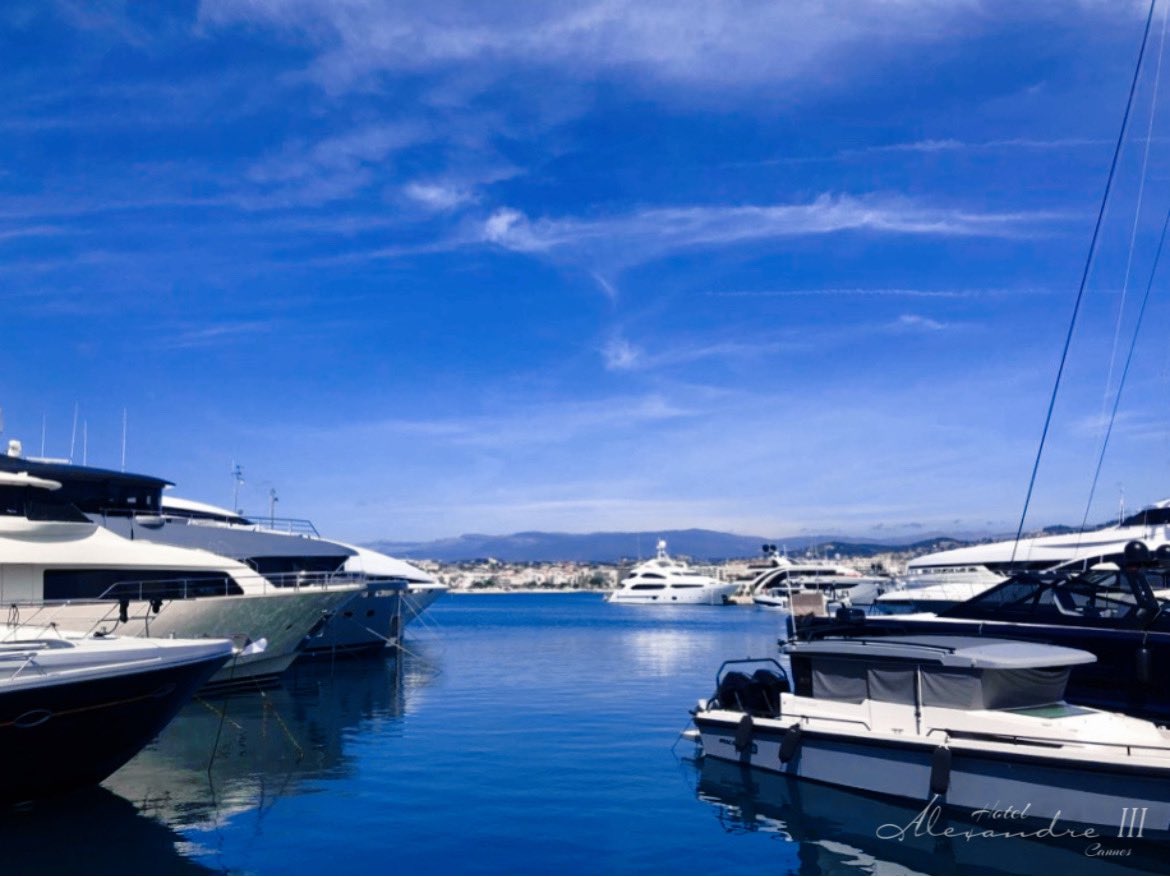 Azul. 

#azul #cotedazurfrance #cannes #cannes2024 #onatousbesoindusud #canneseries #cannessoleil #cannesfrance #cotedazurlife #yachtingfestivalcannes #festivaldecannes