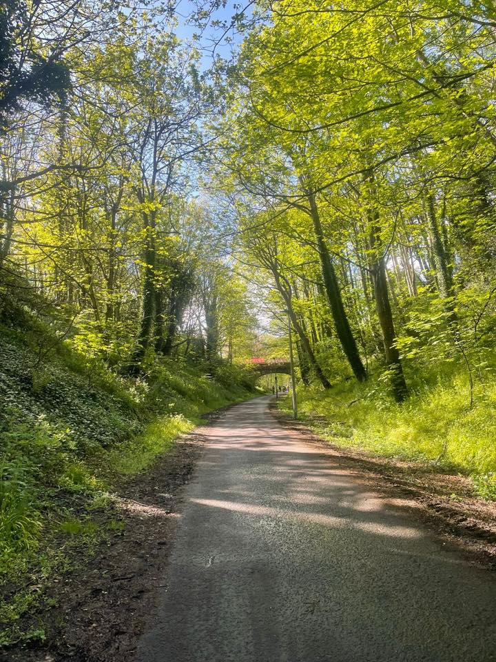 The #RoseburnPath in #Edinburgh (former trainline), a unique green active travel, walking and #biodiversity corridor is currently under threat from plans to run the north-south #tram line along it. Please support the #SaveTheRoseburnPath campaign. savetheroseburnpath.com