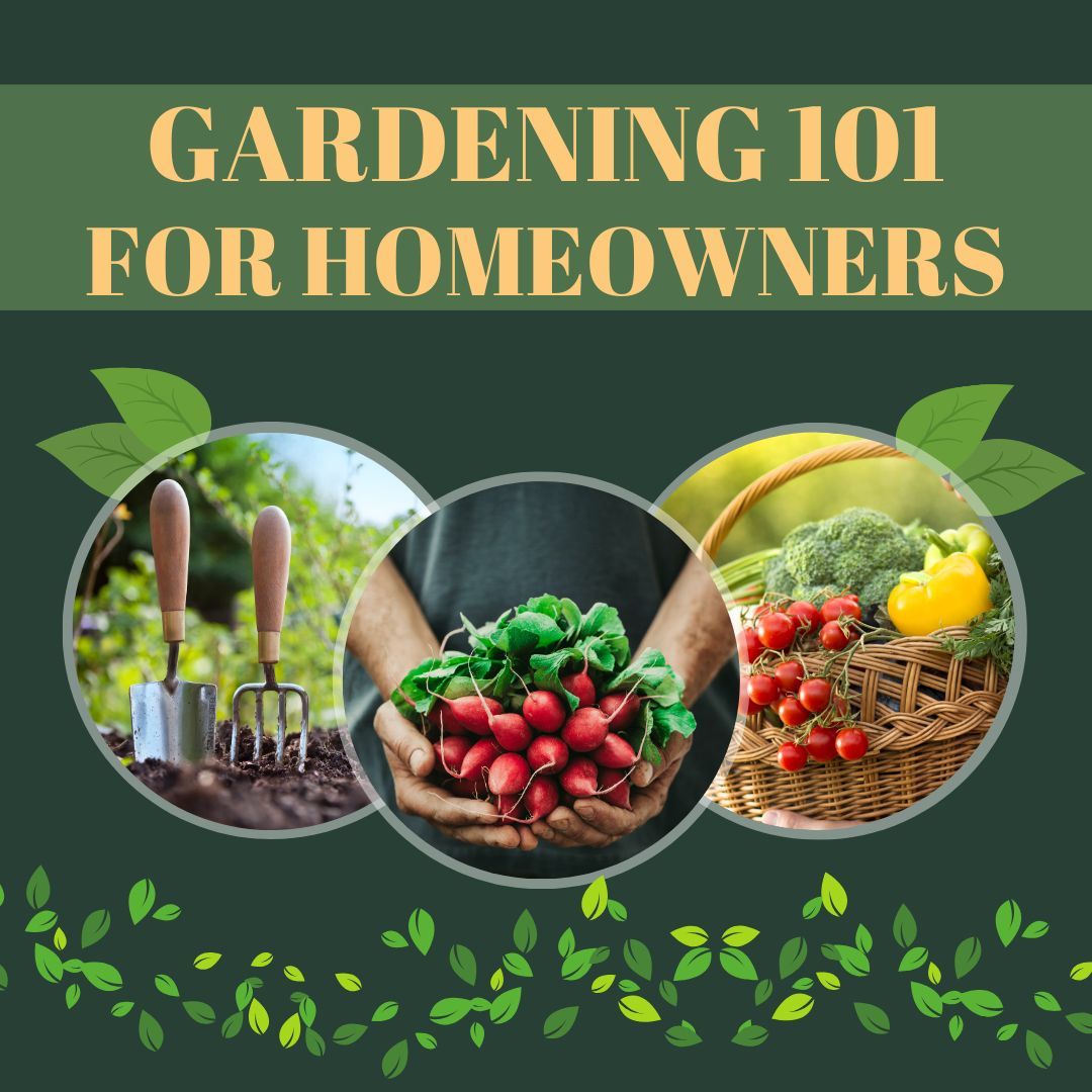 CCPLVA's tweet image. Do you wish you had a better garden? Learn everything you need to make your garden grow! 
Register today: buff.ly/49UeVmK 
#LibraryPrograms #SaturdayAtTheLibrary #Gardening #GardenBasics