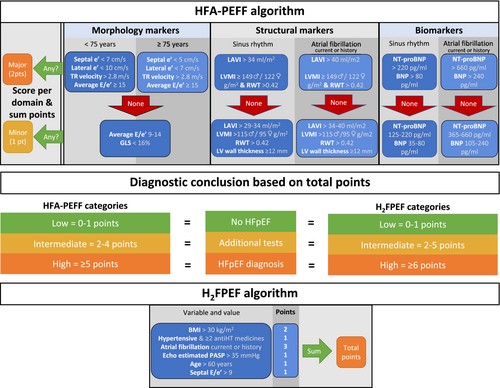 🖼 Summary of #HFpEF diagnostic scores to facilitate your clinical practice. It takes time though... An easy webtool to help you is available! 🌐 cardiologytools.com/hfpef-calculat… 📄 background: doi.org/10.1002/ehf2.1… #ACC24 @HanCardiomd @kp_rommel #HeartFailure #CardioTwitter