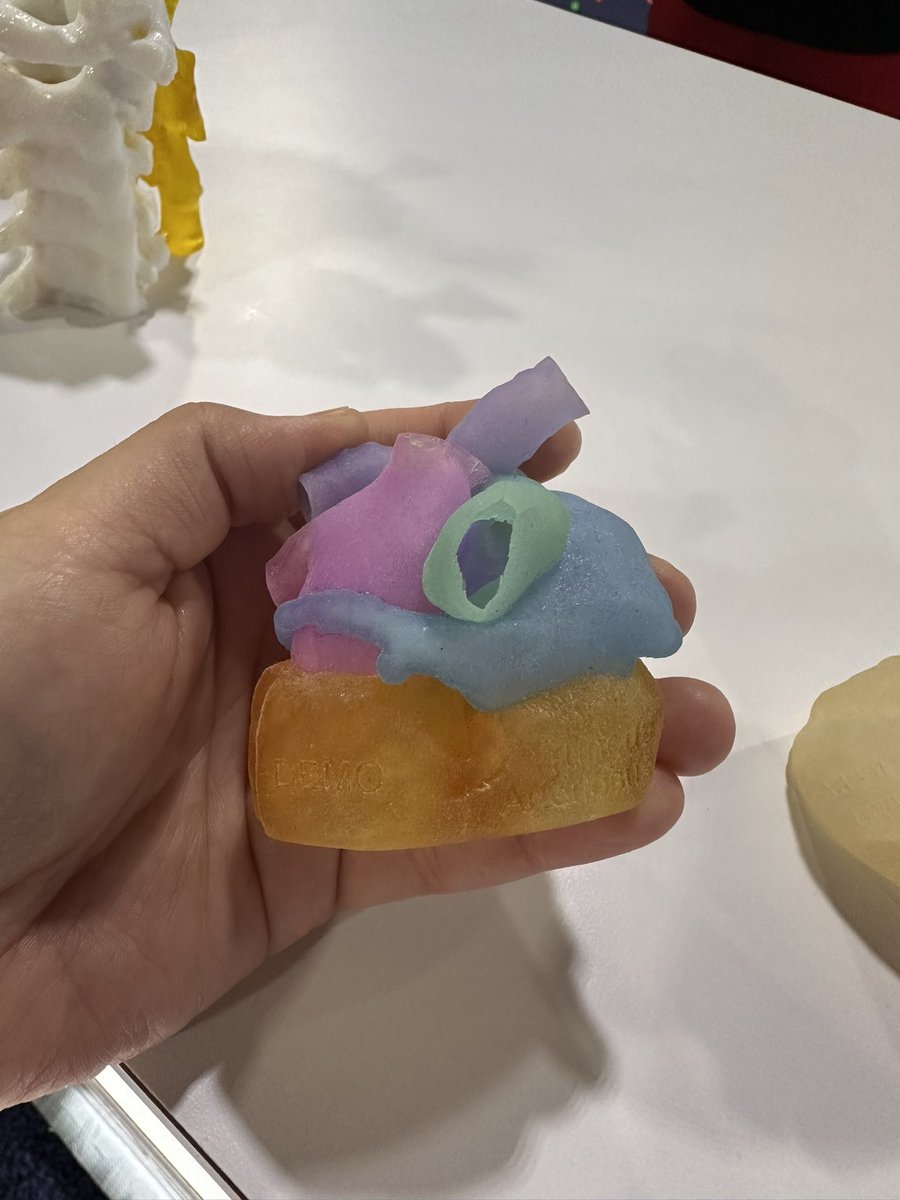 This colorful 3D model for a truncus is great!! Such a great learning tool.. 
from Ricoh.

#ACC2024 #CHD #pedscard #ACHD #CardioTwitter  @ACCinTouch