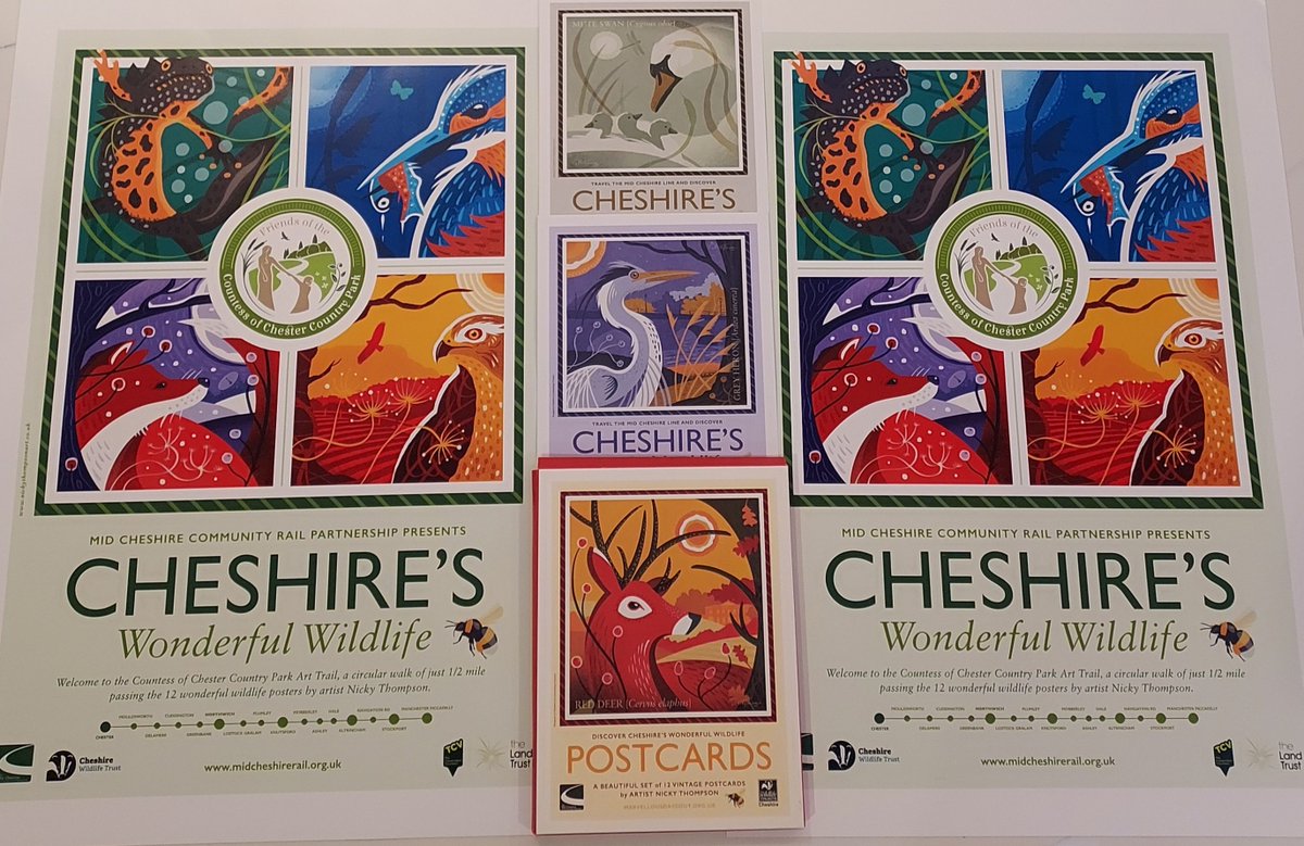 Tomorrow at 1.30 at the @CountessPark we'll be selling all 13 of the stunning @nickythompsona1 #CheshiresWonderfulWildlife Art Trail posters. A3 at £10 A2 at £15 Set of 12 postcards at £10 Cash or bank transfer @Dee1063 @VisitChester_ @ShitChester @chestertweetsuk @chesterdotcom