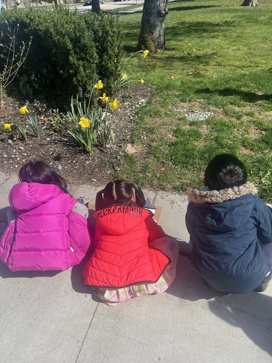 Spring is the perfect time to practice our observation skills. I love talking to our kindies about what they notice. @vsblearns @VSB39 @WeirSchool