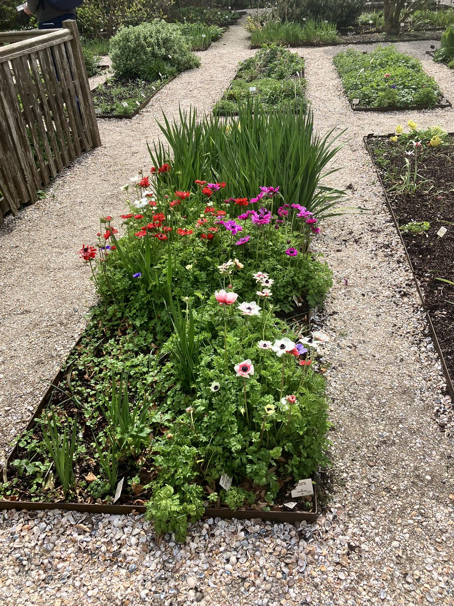 Today I went to Leiden, to see the Japan museum and the Botanical Gardens.