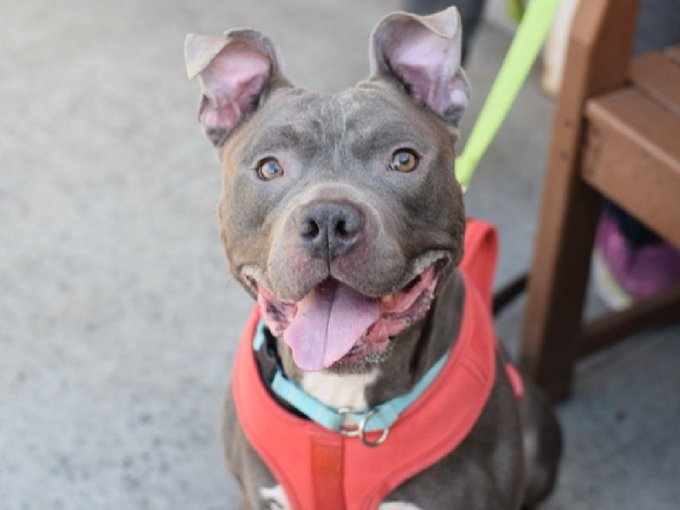 Not the Same tweet media