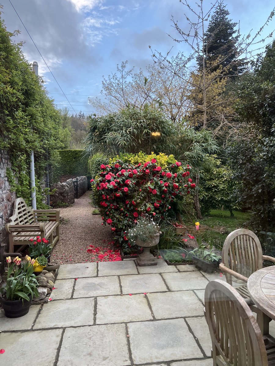 A glorious evening in the garden! And, it’s only April!