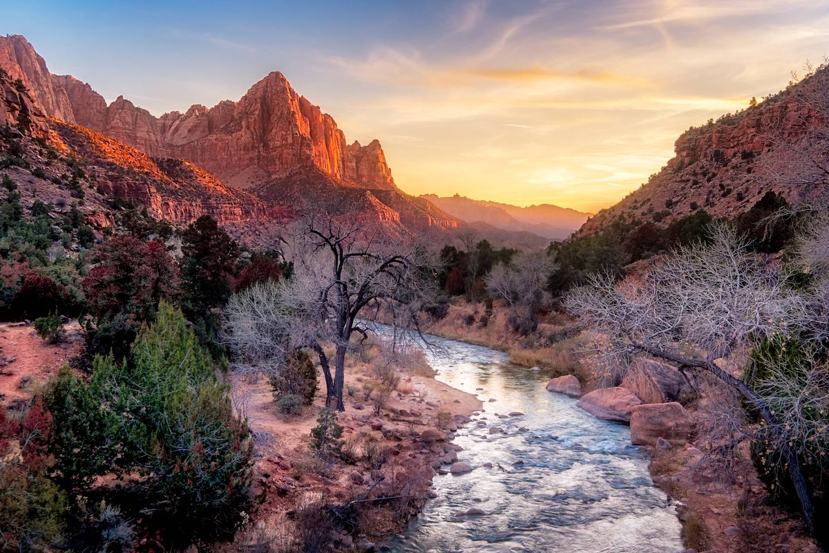 ZionLodges's tweet photo. The name “Zion” means a place of peace and refuge. See for yourself when you stay inside the park at https://t.co/6pujXRFnq1.

#ZionLodge #ZionNationalPark #VisitUtah #XanterraTravel https://t.co/Sntw1GiTjO