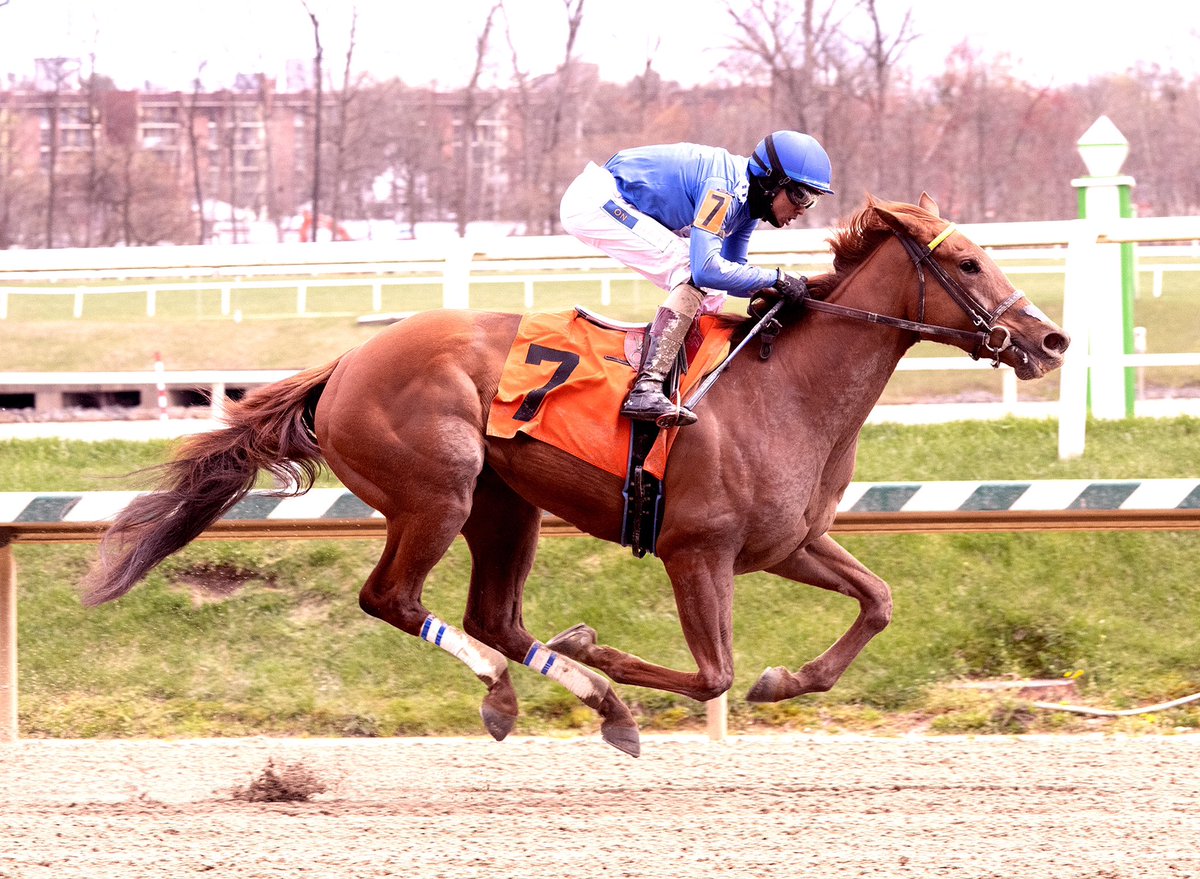 Determind Princess, 2nd in debut after poor start, steps up to MSW, stretches out to 1M, and wins @LaurelPark under @VCarrasco28. 3YO @MarylandTB filly by Ghostzapper trained by @SchoenthalRace for D Hatman Thoroughbreds. (Jim McCue 📷)